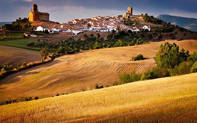 Clase del día 29/7/24