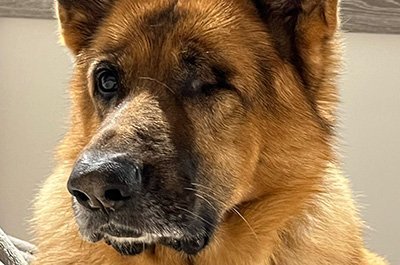 Clase del día 7/10/24