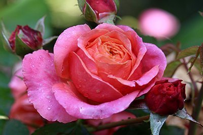 Clase del día 25/11/24